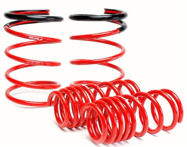 2005-2006 Acura RSX Coil Spring Set (Skunk2 Racing)