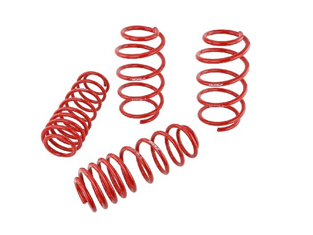 2007-2012 Honda Civic Coil Spring Set (Skunk2 Racing)