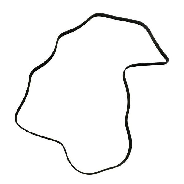 2011-2014 Ford Econoline Wagon Serpentine Belt (Skyward )