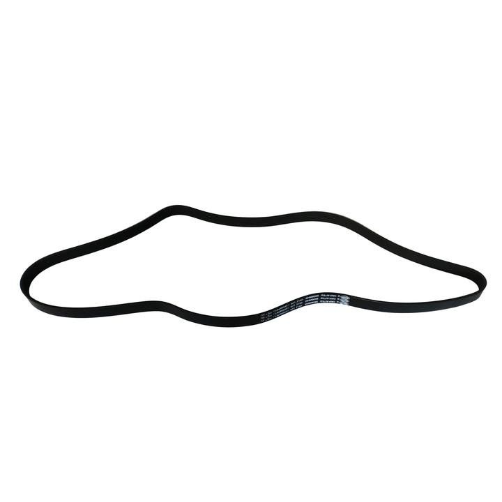 Serpentine Belt