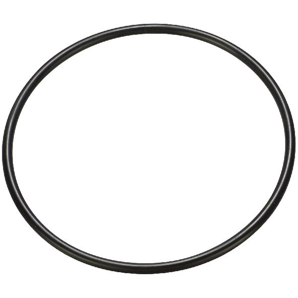 2005-2009 Kia Spectra5 Fuel Pump Tank Seal (Spectra)