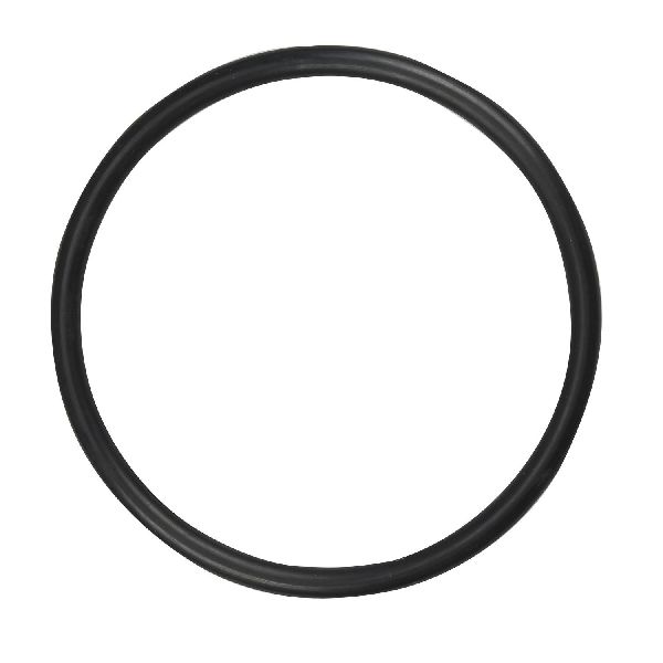 1999-2002 Suzuki Esteem Fuel Pump Tank Seal (Spectra)