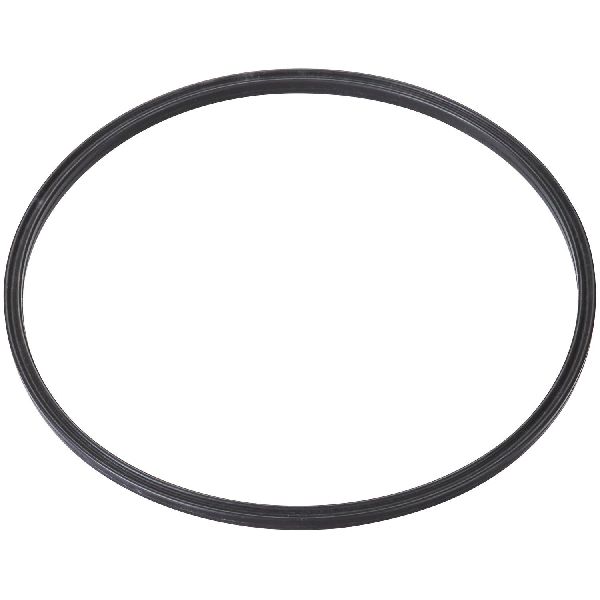 2002-2005 Chevrolet Cavalier Fuel Pump Tank Seal (Spectra)