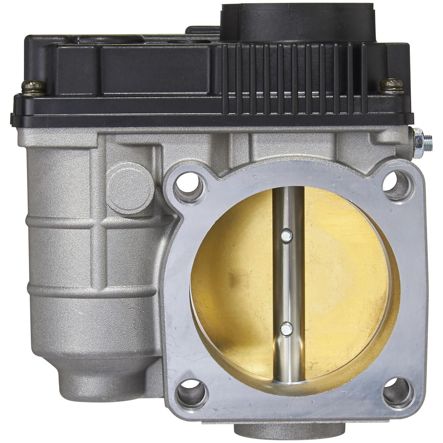 Fuel Injection Throttle Body Assembly