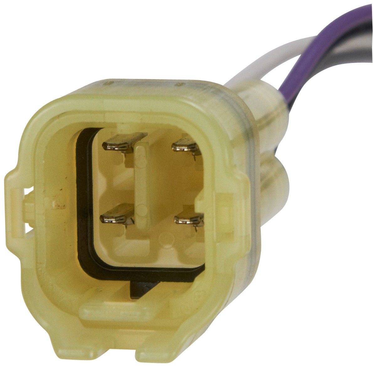 Oxygen Sensor