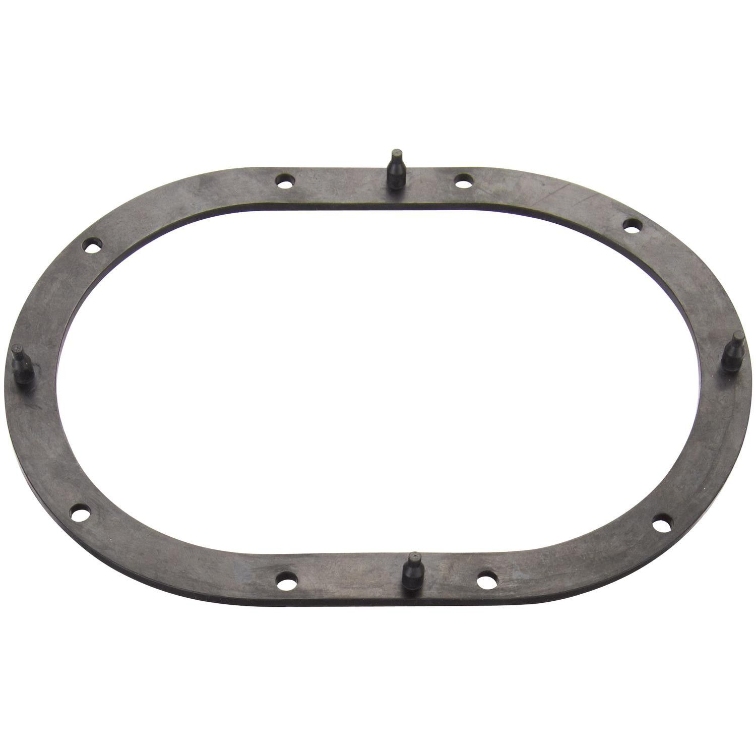 Fuel Pump Tank Seal