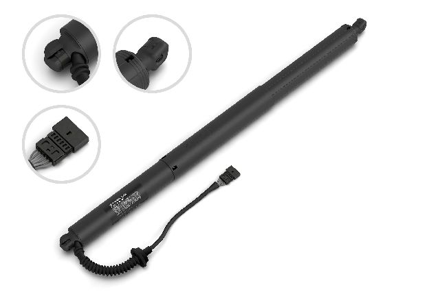 2022-2024 BMW X5 Liftgate Lift Support (Stabilus)