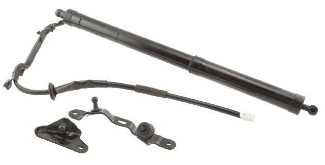 2013-2016 Toyota RAV4 Liftgate Lift Support - Left (Stabilus)