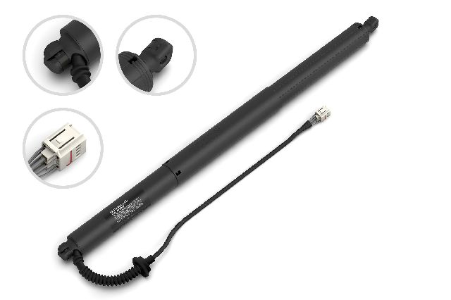 2019-2024 Audi Q3 Liftgate Lift Support (Stabilus)