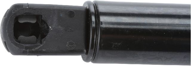 2011-2023 Chrysler 300 Hood Lift Support (Strong Arm)
