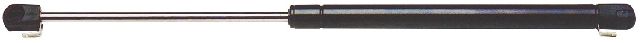 1984-1996 Buick Century Back Glass Lift Support (Strong Arm)