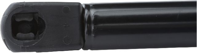 2001-2003 Oldsmobile Aurora Hood Lift Support (Strong Arm)