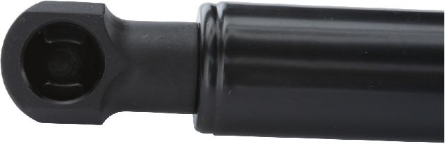 2004-2010 INFINITI QX56 Hood Lift Support (Strong Arm)