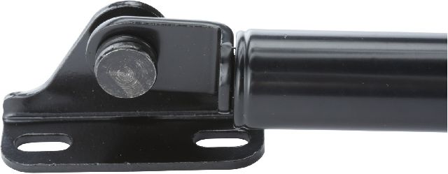 1999-2003 Lexus RX300 Liftgate Lift Support (Strong Arm)