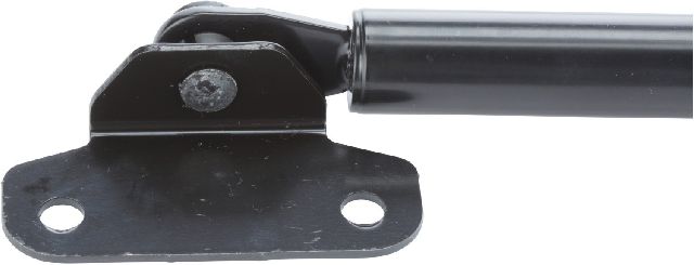 1996-1998 Acura TL Hood Lift Support (Strong Arm)