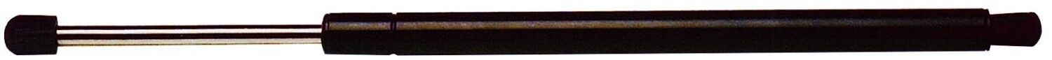 2006, 2005, 2004, 2003, 2002, 2001 Lexus LS430 Hood Lift Support