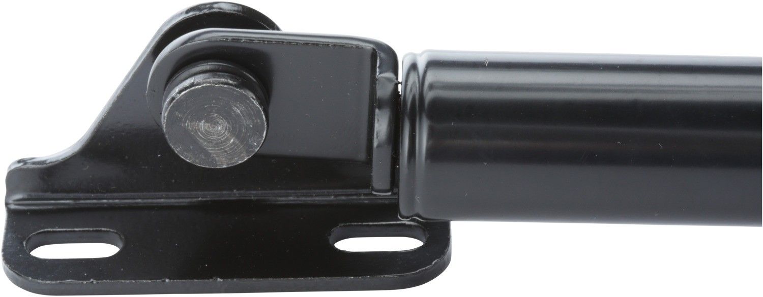 2003, 2002, 2001, 2000, 1999 Lexus RX300 Liftgate Lift Support