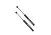 2022, 2021, 2020, 2019, 2018, 2017, 2016, 2015 GMC Canyon Suspension Shock Absorber