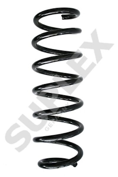 2011-2017 BMW X3 Coil Spring - Rear (Suplex)