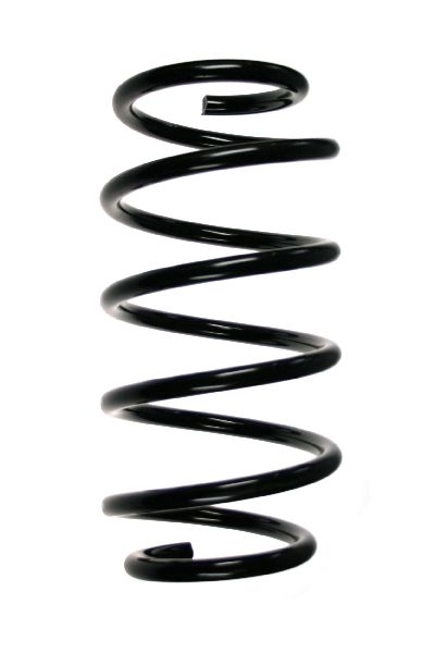 2000-2006 BMW X5 Coil Spring - Front (Suplex)