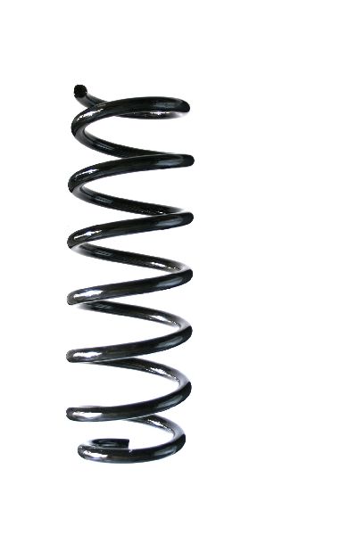 2011-2017 BMW X3 Coil Spring - Rear (Suplex)