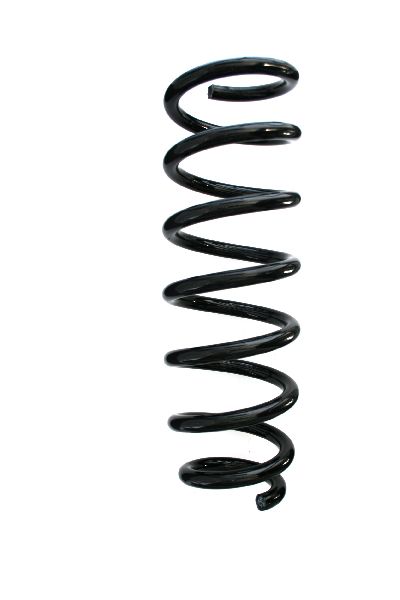 2009-2013 BMW X5 Coil Spring - Front (Suplex)