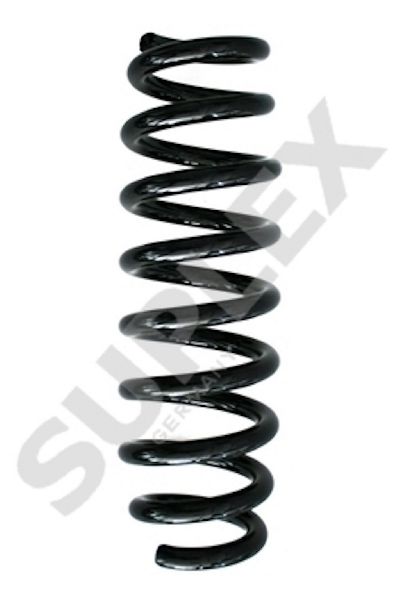 2007-2013 BMW 328i Coil Spring - Rear (Suplex)