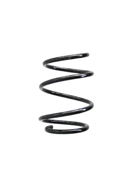 2002-2006 Mini Cooper Coil Spring - Front (Suplex)