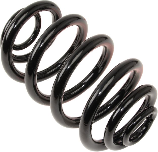 2004-2010 BMW X3 Coil Spring - Rear (Suplex)
