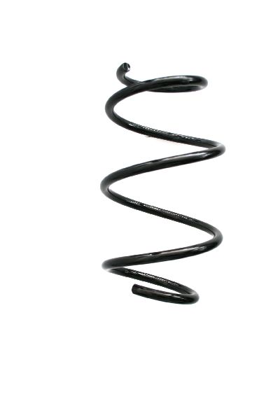 2012-2015 BMW 320i Coil Spring - Front (Suplex)