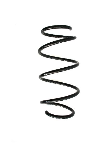 2012-2015 BMW 320i Coil Spring - Front (Suplex)