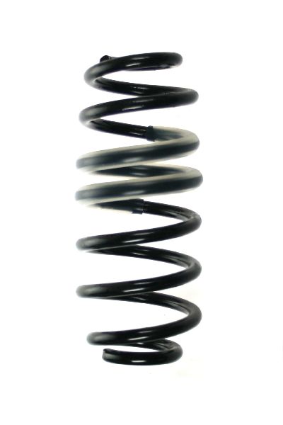 2008-2016 Smart Fortwo Coil Spring - Rear (Suplex)