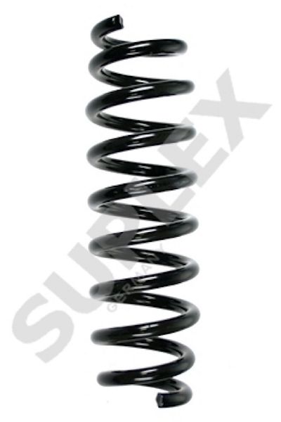 2006-2011 BMW 323i Coil Spring - Rear (Suplex)