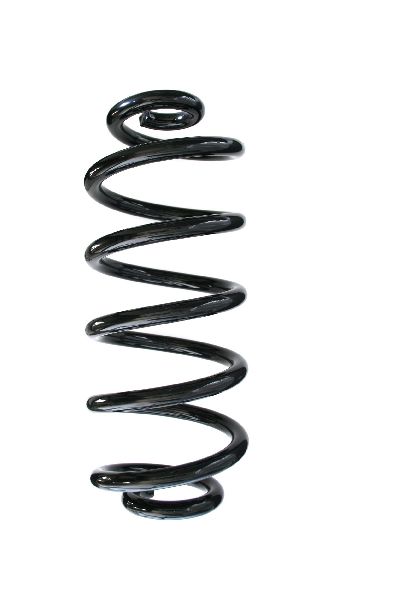 2009-2013 BMW X5 Coil Spring - Rear (Suplex)