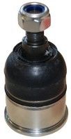 2009-2014 Acura TSX Suspension Ball Joint - Front Lower (Suspensia)