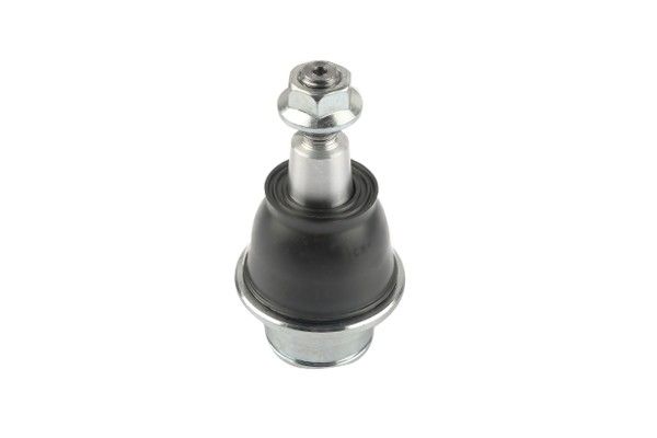 2019-2022 Ford Ranger Suspension Ball Joint - Front Lower (Suspensia)