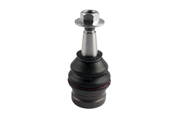 2008-2011 Audi S5 Suspension Ball Joint - Front Lower (Suspensia)