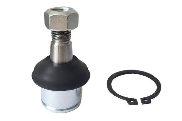2011-2012 Ram 3500 Suspension Ball Joint - Front Lower (Suspensia)