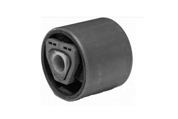 2006 BMW 325i Suspension Control Arm Bushing - Front Lower Inner Forward (Suspensia)