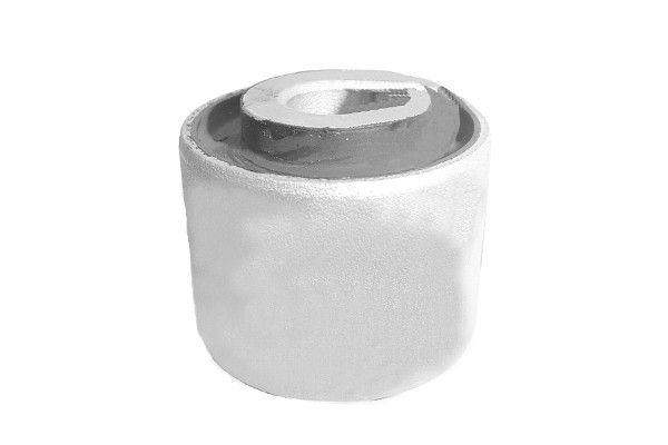 1996-2016 Audi A4 Suspension Control Arm Bushing - Front Lower (Suspensia)