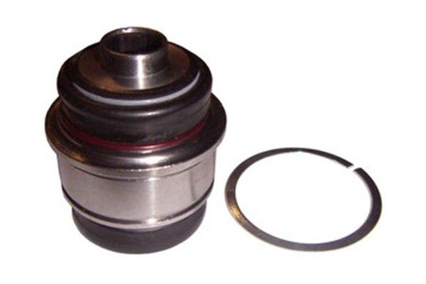 2000-2006 BMW X5 Suspension Control Arm Bushing - Rear (Suspensia)