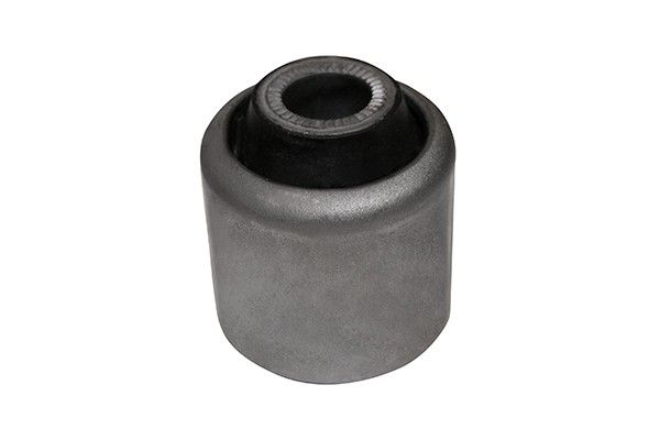 2007-2013 BMW X5 Suspension Control Arm Bushing - Front Lower Rearward (Suspensia)