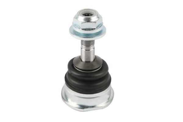 2011, 2010, 2009, 2008, 2007, 2006, 2005 Ford Crown Victoria Victoria Suspension Ball Joint