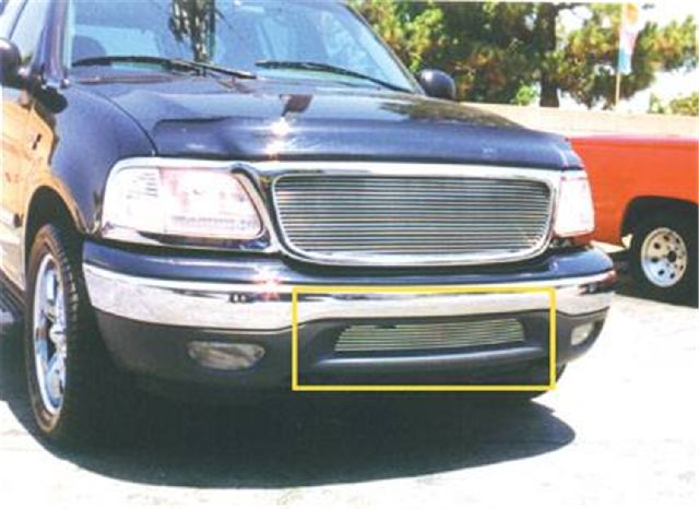 1999-2003 Ford F-150 Bumper Grille Insert (T-Rex)