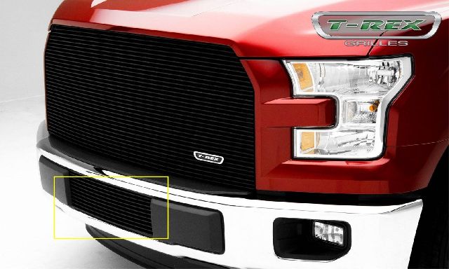 2015-2017 Ford F-150 Bumper Grille Insert (T-Rex)