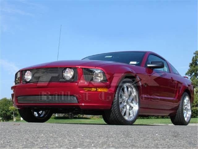 2005-2009 Ford Mustang Grille (T-Rex)