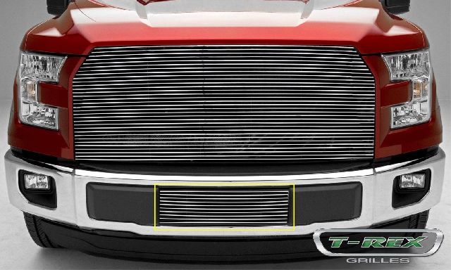 2015-2017 Ford F-150 Bumper Grille Insert (T-Rex)