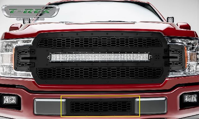 2018-2020 Ford F-150 Bumper Grille Insert (T-Rex)
