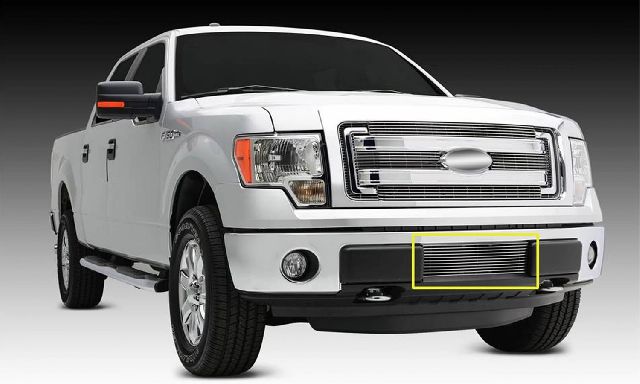 2009-2014 Ford F-150 Bumper Grille Insert (T-Rex)