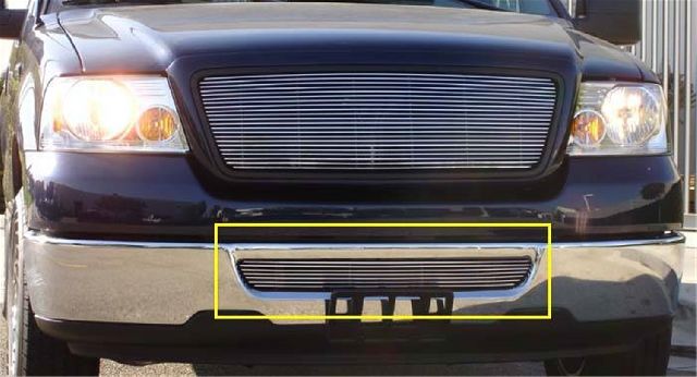 2006-2008 Ford F-150 Bumper Grille Insert (T-Rex)